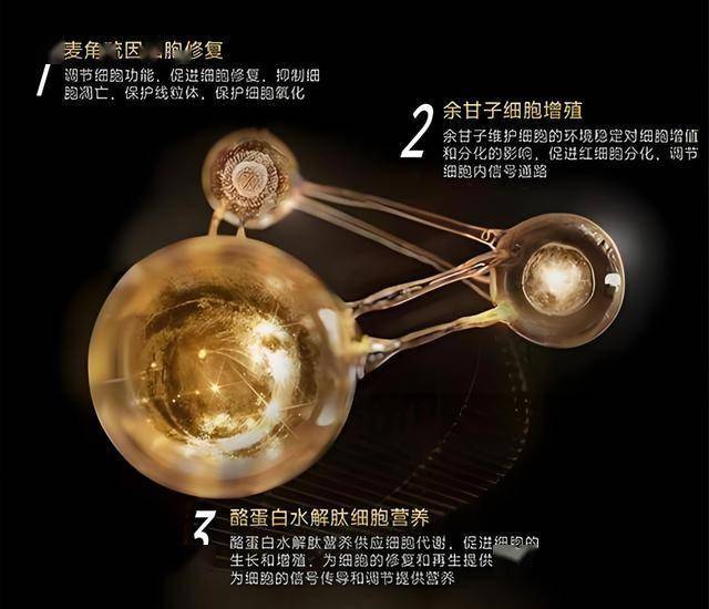 AVA外汇平台MT4教程我研究了avatrade爱华外汇代码的类别,竟然发现了这个秘密!